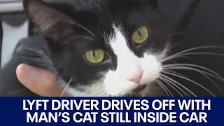 Austin man reunited with cat after Lyft driver drove off with animal still inside FOX 7 Austin