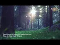 Download Lagu Summoners War NEW Cinematic OST ‘Time To Rise’ Making Film (feat.Elaine)