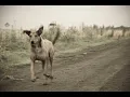 Argentino Luna - El Malevo