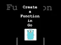How to create a function in Go Programming language