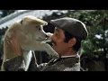 Download Lagu Hachiko Tribute