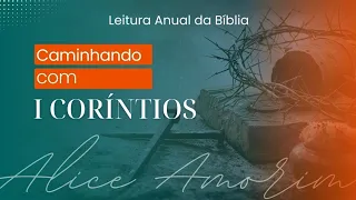 #dia58 - LIVRO DE 1 CORINTIOS ( 1 A 3)  - LEIA A BÍBLIA COMIGO EM 1 ANO