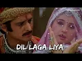 Dil Laga Liya (Slowed + Reverb) | Alka Yagnik & Udit Narayan | Humsafar Lofi 
