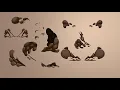 Unity 3D Assets The 2D Animations Vol 1 - Dust