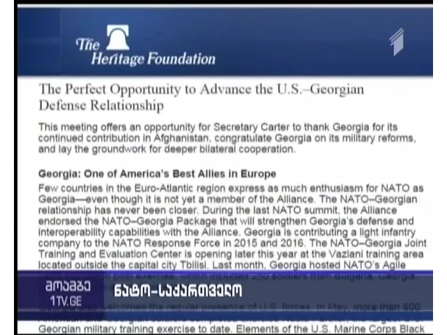 ლუკ კოფი - შტატებმა საჯაროდ უნდა განაცხადოს, რომ საქართველოს ნატო-ში შესასვლელად "მაპი" არ სჭირდება