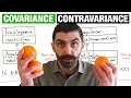 Covariance and Contravariance