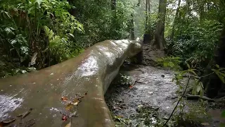 سورة القصص ختمة عام 1437 القارئ عصام حمود 