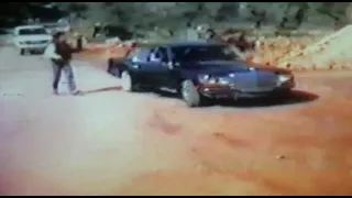 اسود برجا الشوف الاحداث اللبنانية  اسود برجا الشوف الاحداث اللبنانية