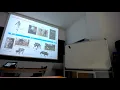 Course CONTR-LEG-ROB Lesson4 Part1 B1 Intro Floating Base B2 Modeling Legged Robots