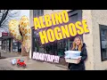 Getting an Albino Female Hognose from Craigslist