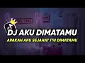 Download Lagu DJ APAKAH AKU SEJAHAT ITU DIMATAMU | TIKTOK REMIX YANG KALIAN CARI 2023