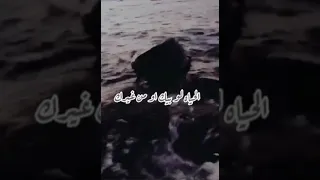 وداع يا دنيا وداع حسن شاكوش حالات واتس 