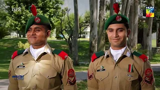 ehd e wafa feedback hum tv drama