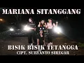 Download Lagu MARIANA SITANGGANG - BISIK BISIK TETANGGA ( LAGU REMIX TERBARU 2023 )