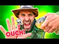 FEEDING FRENZY - Piranha vs My Hand