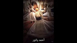 أحمد يا نور العين حبك أحياني مع الكلمات 
