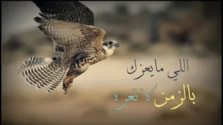 شعر بدوي حزين تمشي عدل محد يحبك ويغليك 