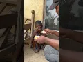 Download Lagu #Hungry #help #suffering #sufferings #poverty #africa #foundation #unicef #children #kids #childrens
