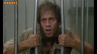 adriano celentano 1982 bingo bongo