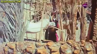 انا اللي حظي قليل وماليش ف الحب نايب   دندنها
