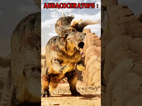 ARK AUDACOCERATOPS #shorts #ark #sigma