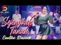 Download Lagu Sejengkal tanah - cantika davinca feat om nirwana (video sik asik)