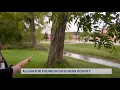 Wappingers Falls mother spots 50-pound alligator roaming near local school