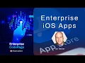 Enterprise iOS apps no app store required
