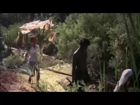 WALKABOUT Trailer (1971) - The Criterion Collection