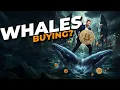 Bitcoin Live Trading One Move Changes EVERYTHING Be Ready EP1954