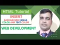 HTML Body Tag Tutorial for Beginners Attributes Practical Examples Explained