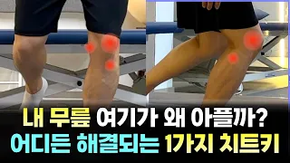무릎 통증 원인이 10가지? 사실 1가지로 다 설명 됩니다.