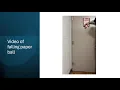 Lab5 Create your own Energy Lost from Falling Object - Presentation