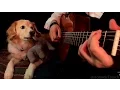Download Lagu Wake Me Up When September Ends by Green Day (Solo Guitar Cover)