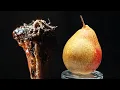 Basic Objects In Macro