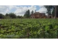 Versailles France Palace Gardens and Little Hamlet - Rick Steves Europe Travel Guide