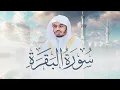 Lagu سورة البقرة كاملة للشيخ د. ياسر الدوسري - Surat Al-Baqarah | Yasser Al-Dosari