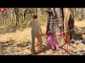 Download Lagu N. T. Rama Rao Best Movie Action Scene From Adavi Ramudu | Telugu Videos