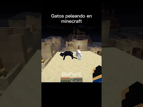 Gatos peleando en Minecraft #minecraft #minecraftmemes