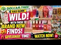 NEW AT DOLLAR TREE DOLLAR TREE HAS GONE WILD WITH THESE NEW FINDS