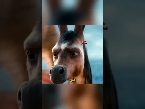 الحوت كان محتاج مساعدة والنهاية كانت غير متوقعة!