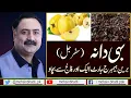 Download Lagu Bahi Dana Quince Fruit Benefits, Jannati Phal, Benefits Of Safarjal, Bihi Dana khane ka tarika
