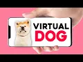 I Tried to Make a Virtual Pet Simulator with Augmented Reality