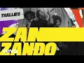 Download Lagu Thalles Roberto - Zanzando