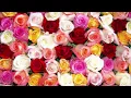 LVNDSCAPE - Walk Away (feat. Kaptan) {Slowed} {One Hour}