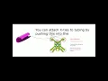 How to Make K nex Coasters Part 1 The Basics