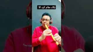 بكاء مقام كرد الا   عزف صابر كوله                    صابر كولة    تيك توك    يوتيوب    موسيقي دندنها