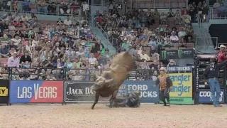 bushwackers record breaking buckoff legendary