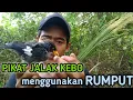 Download Lagu MEMIKAT JALAK KEBO LIAR