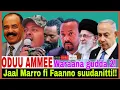 Jaal Marro fi Faanno suudan keessatti?//Waraana guddaa 2 qophii//11/14/2025 AGM